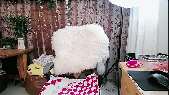 amysasa webcam