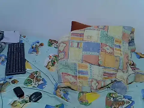 playfullnova webcam