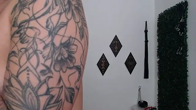 Fleurmeyer79 webcam