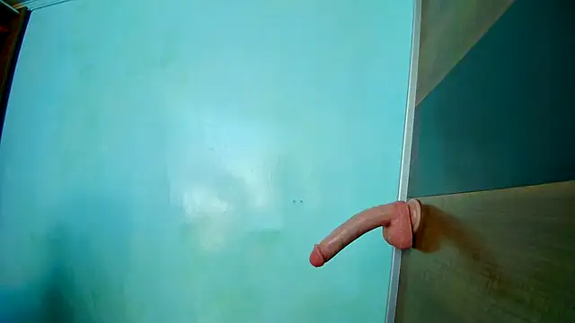 albertpassive webcam