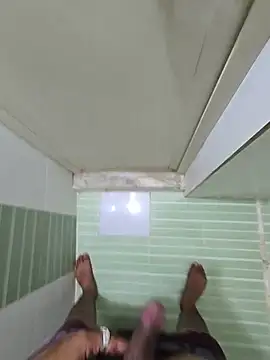 dp6165 webcam