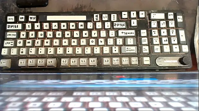 PrettyHorseCockTrans webcam