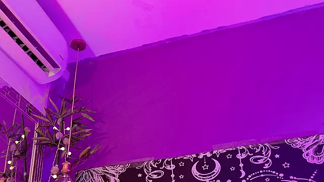 Gaia_Gatex