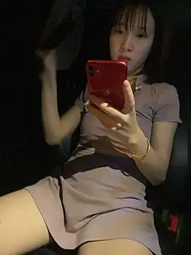 littleqiu webcam
