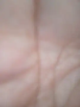 sua_sub_ webcam
