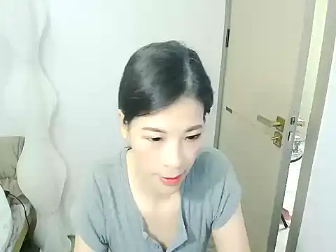 BS9933 webcam