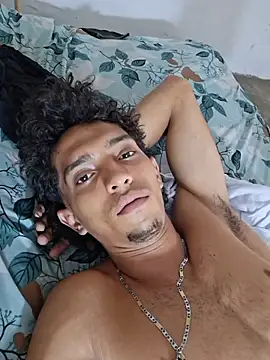Noscay webcam