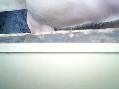 20cmloiro webcam