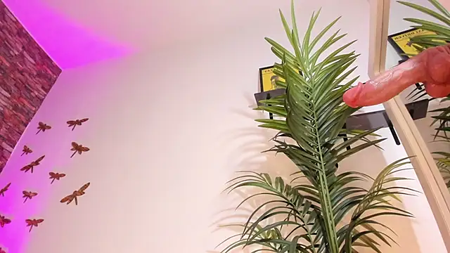 emaa_lambert