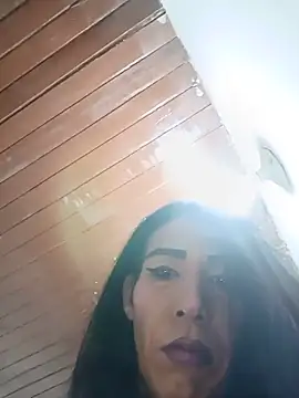 Angye_trans webcam