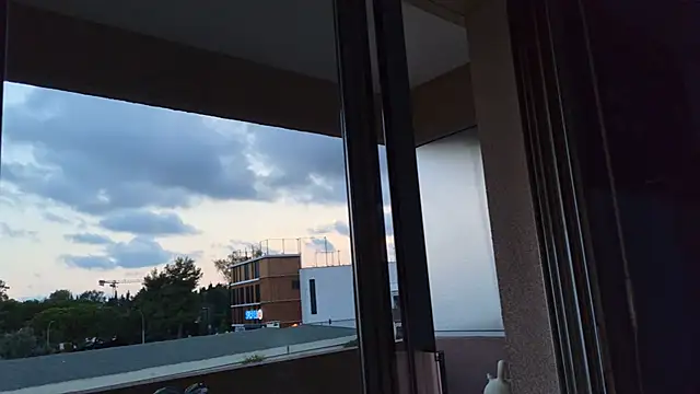 panda_06200 webcam