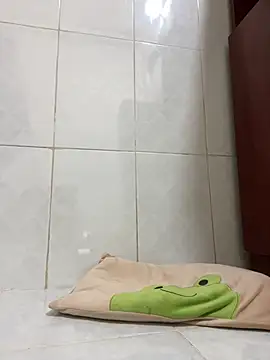 Senkolive webcam