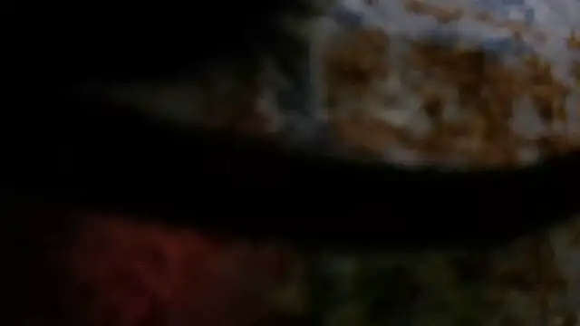RoughClip329 webcam