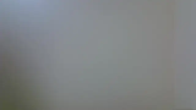 viravrema (Ask my age) - put transparent panties