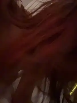 DarkDesin webcam