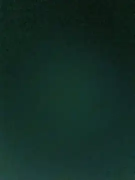 Kavya_kapoor webcam