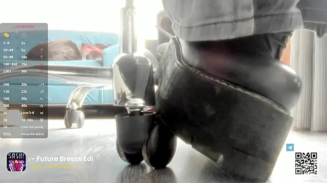 seijaku_ webcam