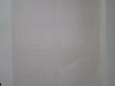 Shiny_Moon_ webcam