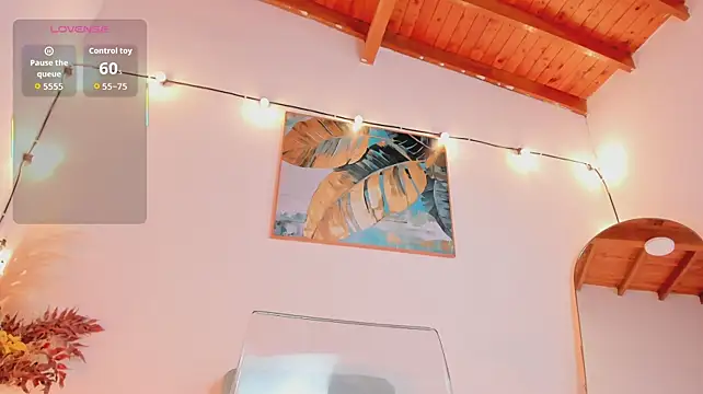 Victoria_Lane_ webcam