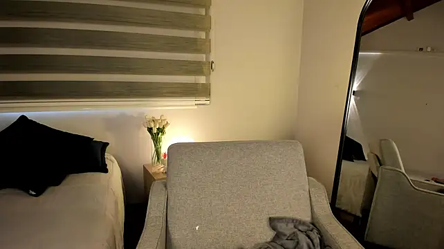MERIDA_TAYLOR webcam