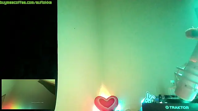 Guyst049 webcam