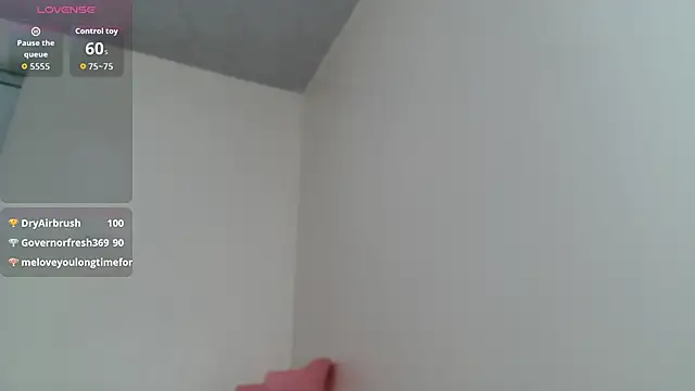 Full_Fist webcam
