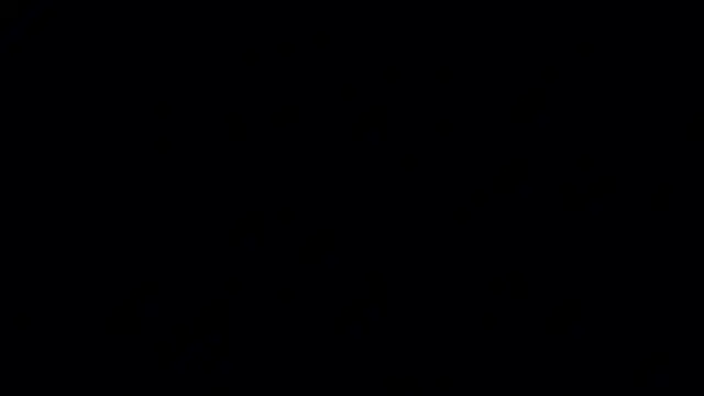 bmcafe webcam