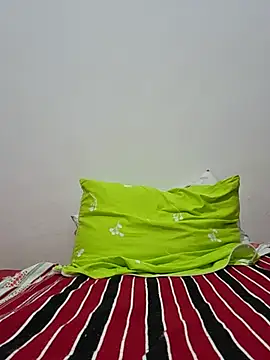altinya webcam