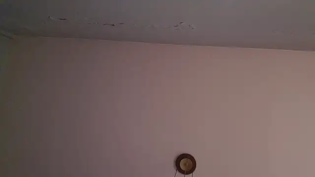 phranof_ webcam