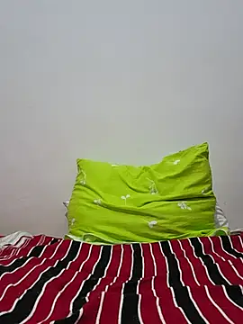 altinya webcam
