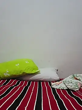 altinya webcam