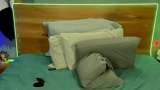 Prometeo-grizzly webcam
