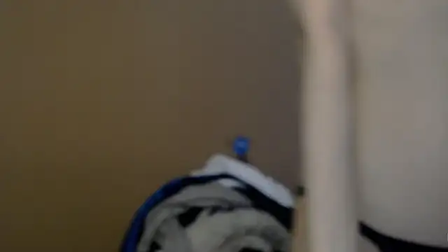 traxexe webcam