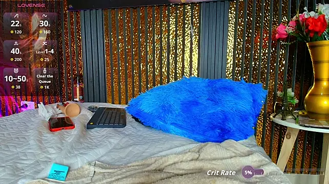 perfectmatch_ webcam