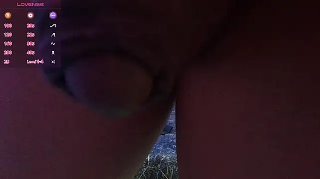 BrayaanFit webcam