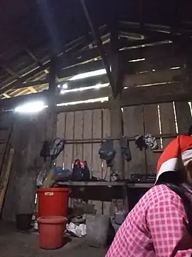 Linda-04 live cam preview