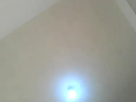 Notthy_berry webcam
