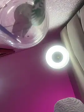 Kendall__evanss webcam