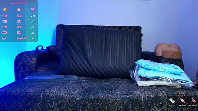 BrayaanFit webcam