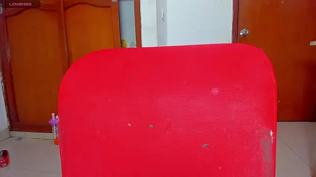 Extreme_Team8 webcam