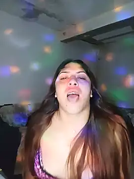 Modelo: TransBollat