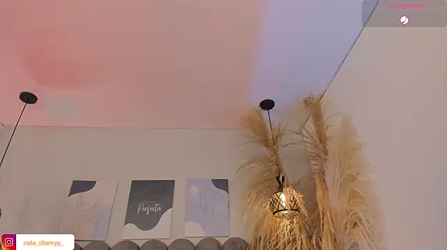 cute__cherry_ live cam preview