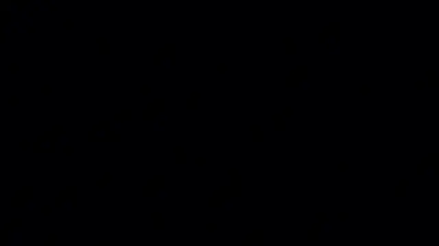 bmcafe webcam