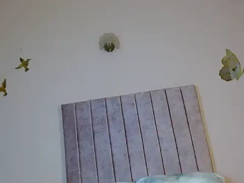 valen_valey webcam