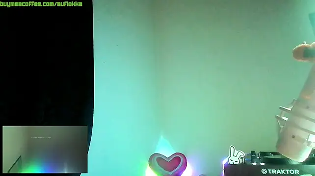 Guyst049 webcam