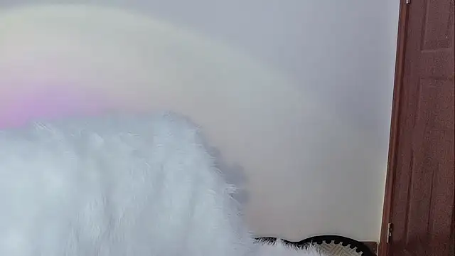 -zhuzhu-999-
