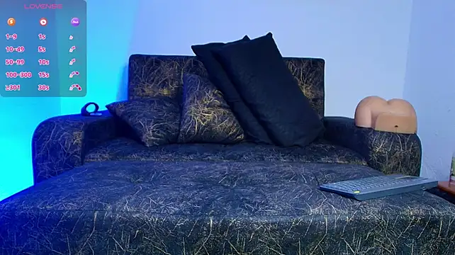BrayaanFit webcam