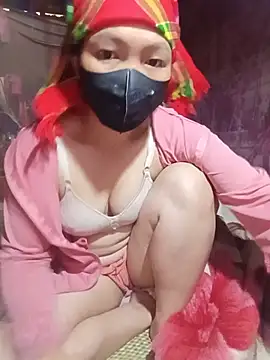 Hiha-nn webcam