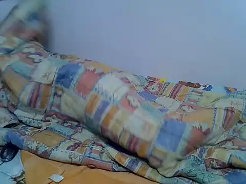 playfullnova