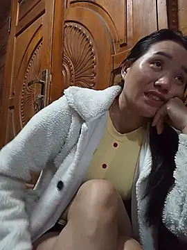 Td3di webcam